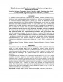 Estudio de caso, Identificación de metales existentes en el agua de un sistema de acuaponia