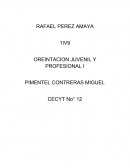 ELEMENTOS DEL PLAN DE VIDA