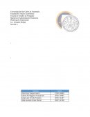 Santa Victoria Planificación Estratégica