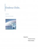 Analisis financiero endesa chile