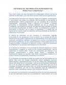 SISTEMAS DE INFORMACIÓN HERRAMIENTAS PRÁCTICA O INEFICAZ?