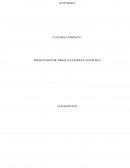 Actividad Comentario crítico personal. La vida del padre Rafael García Herreros