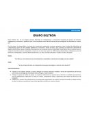 Analisis de mercado Grupo Deltron S.A