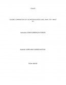 Cuadro comparativo de las metodologías (ARO, RAM, ATS y WHAT IF)