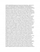 Sistema respiratorio