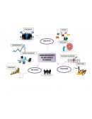 Actividad No. 1 Recursos Humanos