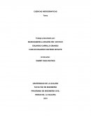 Cuencas hidrograficas