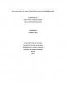 METODOLOGIAS DE IDENTIFICACIÓN DE IMPACTOS AMBIENTALES