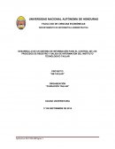 Sistema de información y tecnologia