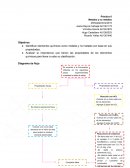 Práctica 8 Metales y no metales