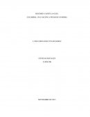 Cap 2 colombia una nacion a pesar de si misma