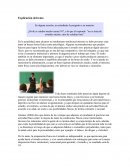 ¿Profe si estudio mucho sacaré 10?