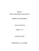 Ensayo Variaciones linguisticas