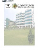 Merchandising CABANILLAS GONZALES JESUS ANTONIO