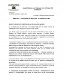 Ensayo salario minimo