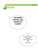 El “Diario” es el producto directo de las observaciones del investigador
