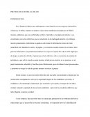 PREVENCION CONTRA EL DELITO