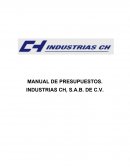 Manual de presupuestos.