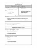 Fichas descrioptivas