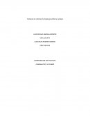 Tecnicas de entrevista comunicacion no verbal