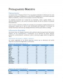 Presupuesto maestro