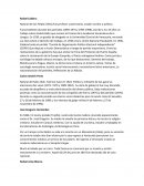 Premilitar Rafael Caldera