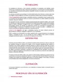 Sinergismo y metabolismo