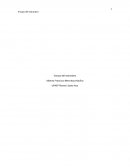 Ensayo libro "El extranjero"