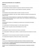 CUALES SON EFECTOS QUE PRODUCEN LOS 10 ELEMENTOS DEL CUERPO HUMANO