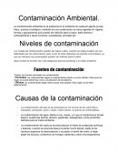 Contaminación Ambiental. Niveles de contaminación
