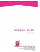 Desarrollo humano