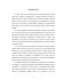 Proyecto de Ambiente