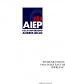 Instrumentos de calidad y productividad en apoyo de Pymes