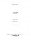 TRABAJO COLABORATIVO APORTE INDIVIDUAL COSTOS Y PRESUPUESTOS