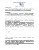 FILOSOFIA EMPRESARIAL. DESARROLLO