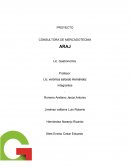 PROYECTO CONSULTORA DE MERCADOTECNIA