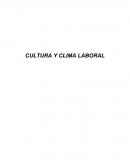 Trabajo investigacion