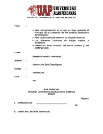 Trabajo Laboral I. Página 1