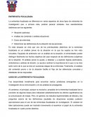 ENTREVISTA FOCALIZADA