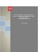 Ensayo Sobre la Teoria de Jean Paul Piaget