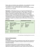 Analisis Pesta Micro LANTAM