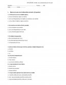EVALUACION