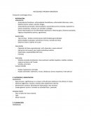 Necesidades Humanas Virginia Henderson