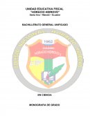 TEMA DE INVESTIGACION: BIOGRAFIA DE HORACIO HIDROVO PEÑAHERRERA