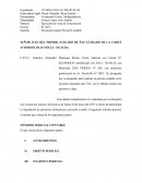 MODELO DE EXPEDIENTES Presenta Examen Pericial Contable