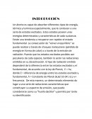 Un átomo es capaz de absorber diferentes tipos de energía