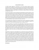 Crónica del Árbol sin nombre