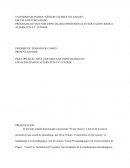 INFORME DE TRABAJO DE CAMPO