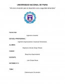 Informe Bioquimica Agroindustrial
