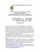 Quimica organica carburos alifaticos